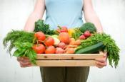 Herbal Remedies For Stomach Flu